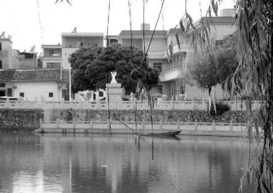 老鄉(xiāng)眼里的李河君：陌生富豪，夫人助其發(fā)財(cái)